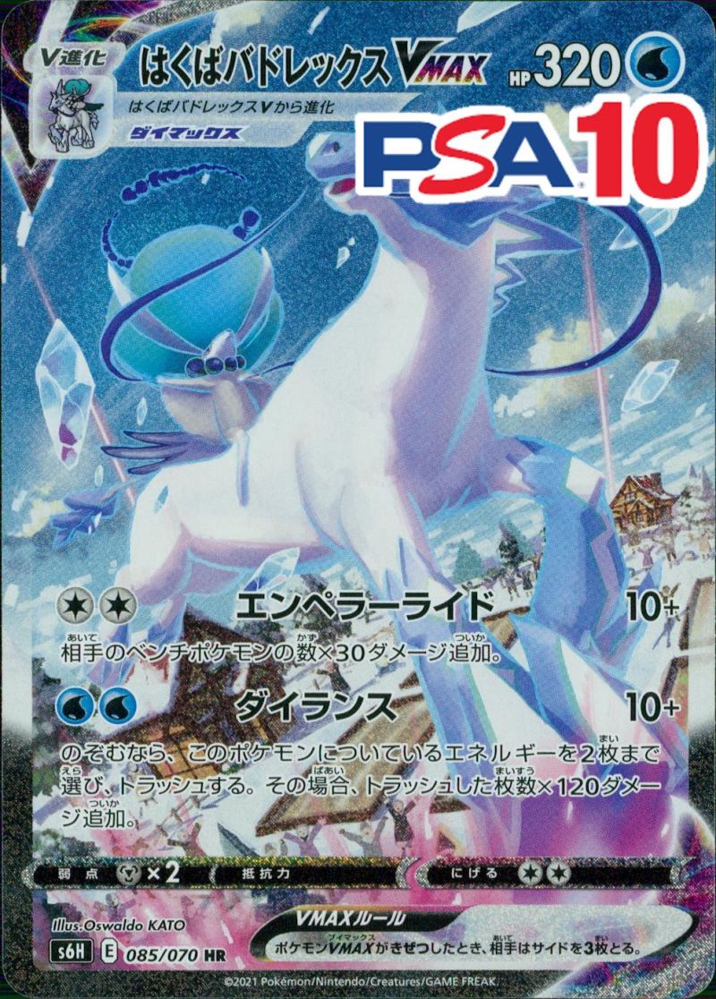 085/070/S6H/HR はくばバドレックスVMAX PSA10