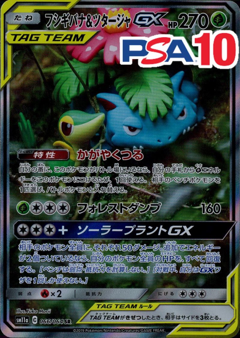 066/064/SM11A/SR フシギバナ＆ツタージャGX PSA10