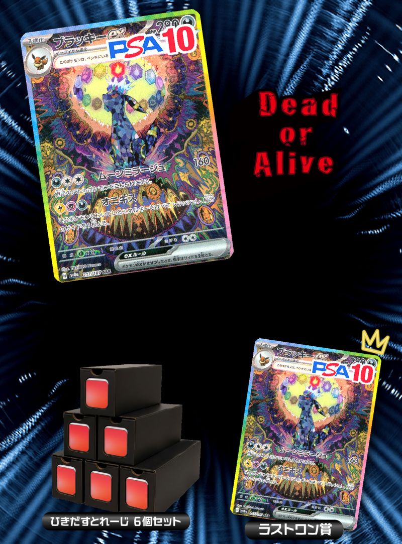 Dead or Alive  ブラッキー争奪戦