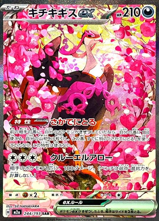 244/193/M2a/SAR キチキギスex シングル