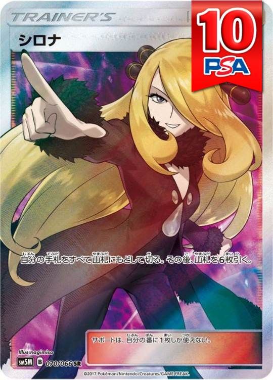 070/066/SMSM/SR シロナ PSA10