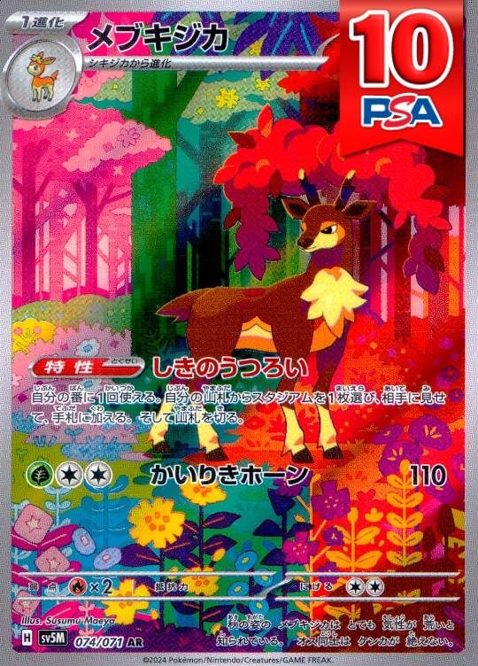 074/071/SV5M/AR メブキジカ PSA10