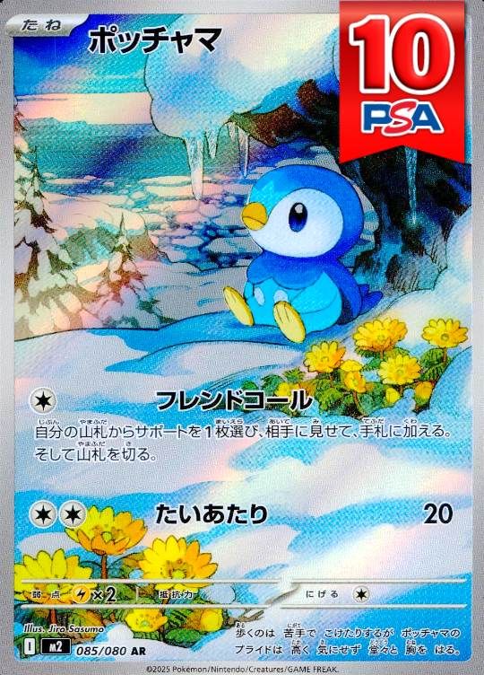 085/080/M2/AR ポッチャマ PSA10