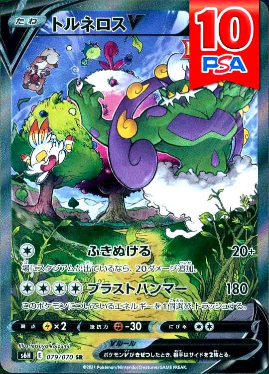 079/070/S6H/SR トルネロスV PSA10