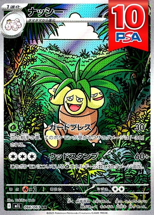 066/063/M1L/AR ナッシー PSA10