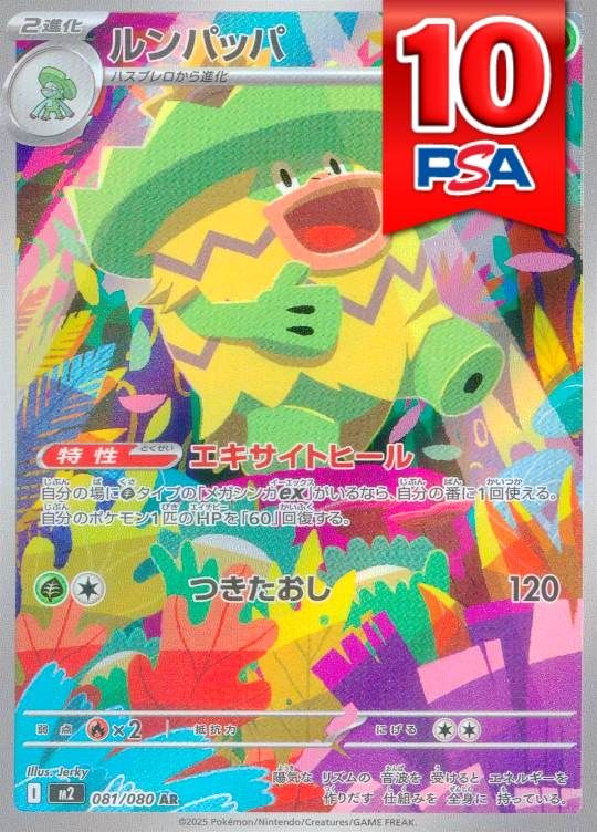 081/080/M2/AR ルンパッパ PSA10