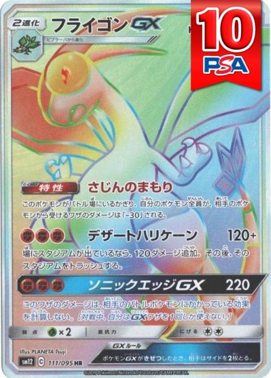 111/095/SM12/HR フライゴンGX PSA10