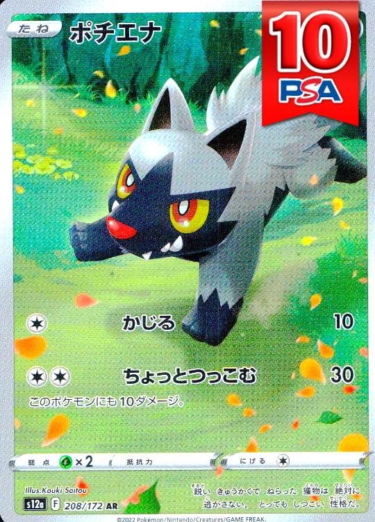 208/172/S12A/AR ポチエナ PSA10