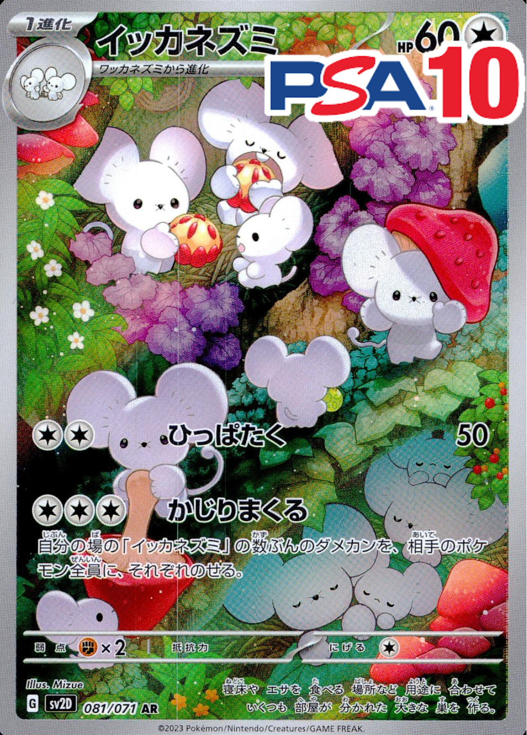 081/071/SV2D/AR イッカネズミ PSA10