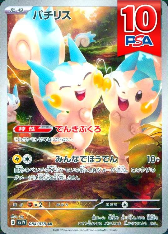 084/078/SV1V/AR パチリス PSA10