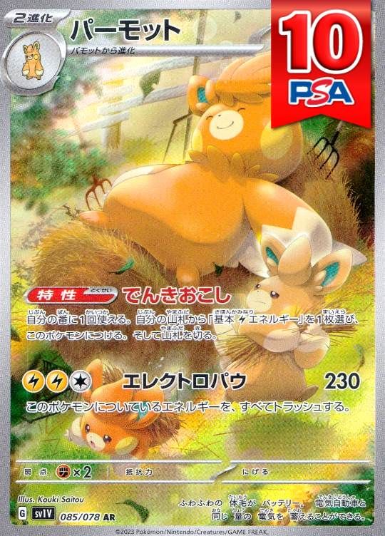 085/078/SV1V/AR パーモット PSA10