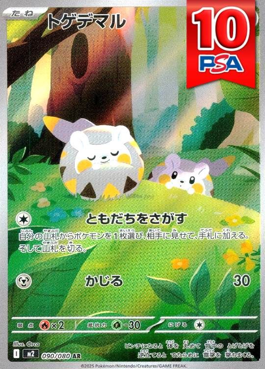 090/080/M2/AR トゲデマル PSA10