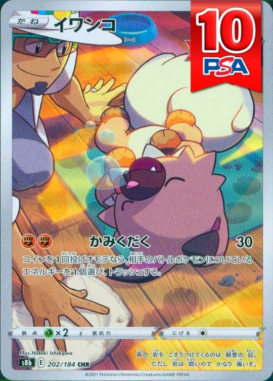 202/184/S8B/CHR イワンコ PSA10