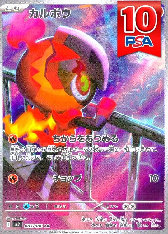 083/080/M2/AR カルボウ PSA10