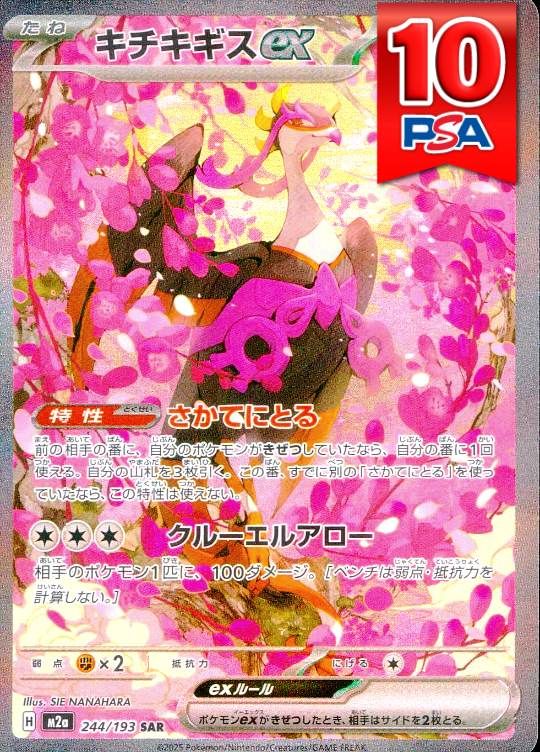244/193/M2a/SAR キチキギスex PSA10