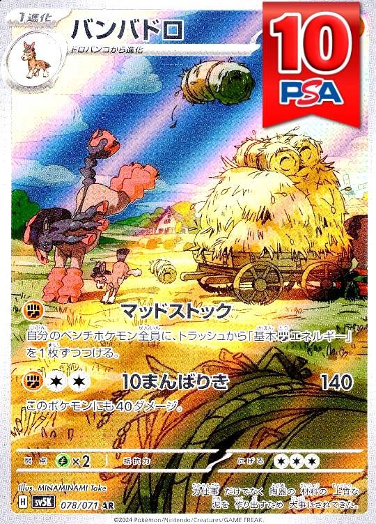 078/071/SV5k/AR バンバドロ PSA10