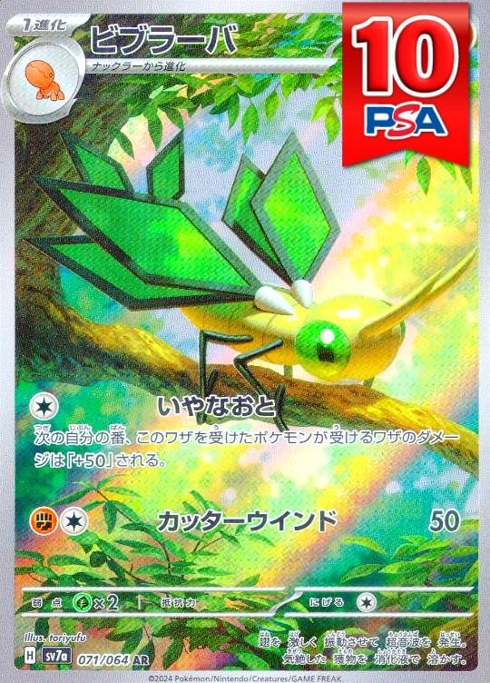 071/064/SV7A/AR ビブラーバ PSA10