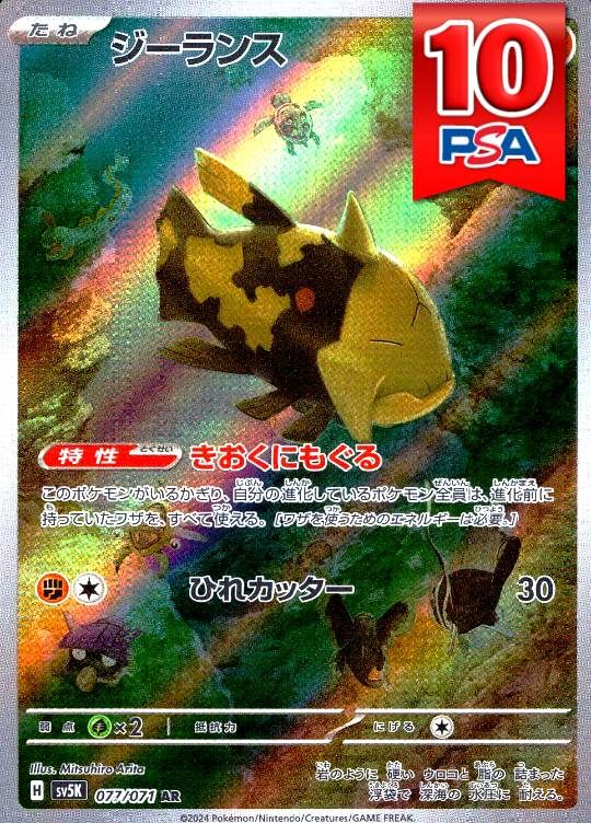 077/071/SV5K/AR ジーランス PSA10