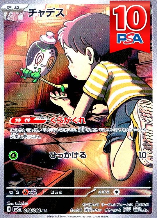 068/066/SV5K/AR チャデス PSA10