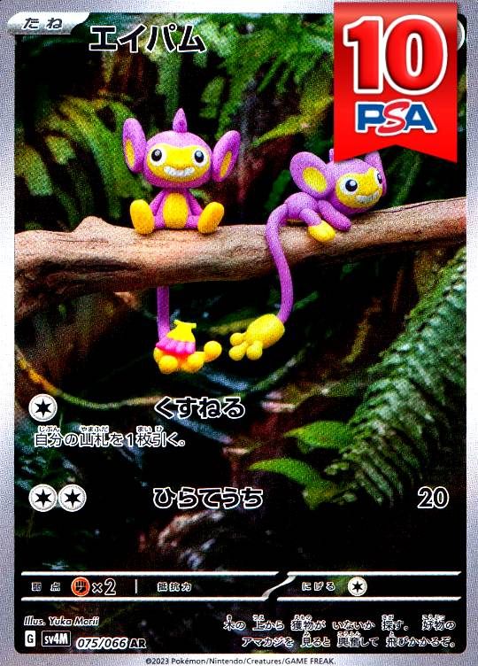075/066/SV4M/AR エイパム PSA10
