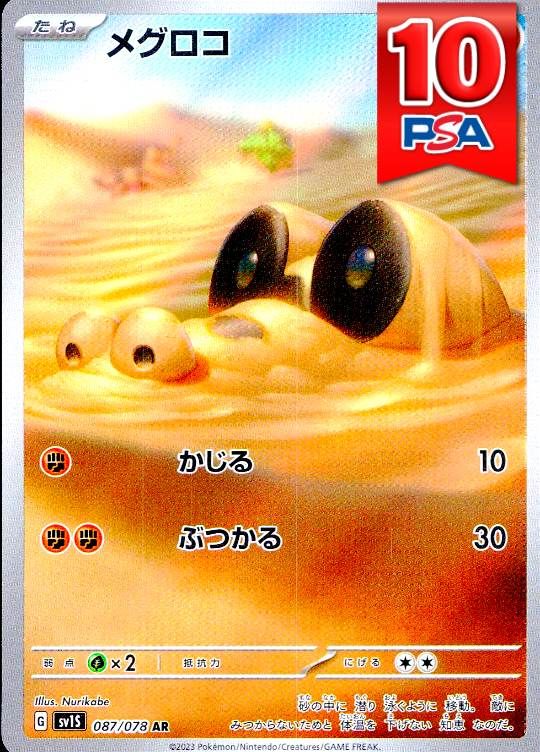 087/078/SV1S/AR メグロコ