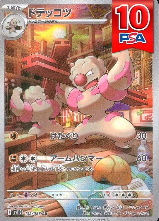 132/086/SV11B/AR ドテッコツ PSA10