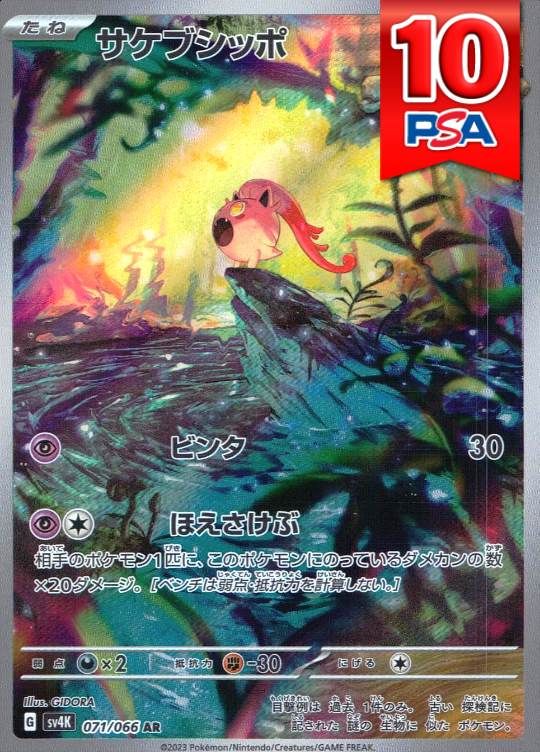 071/066/SV4K/AR サケブシッポ PSA10