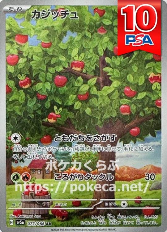 077/066/SV5A/AR カジッチュ PSA10