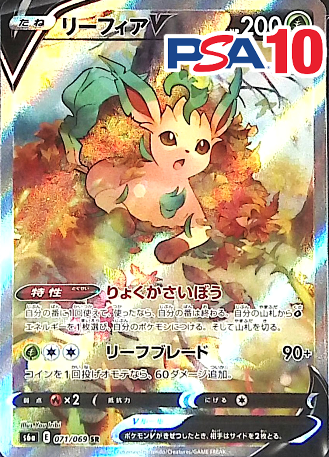 071/069/S6A/B/SR/SA リーフィアV PSA10