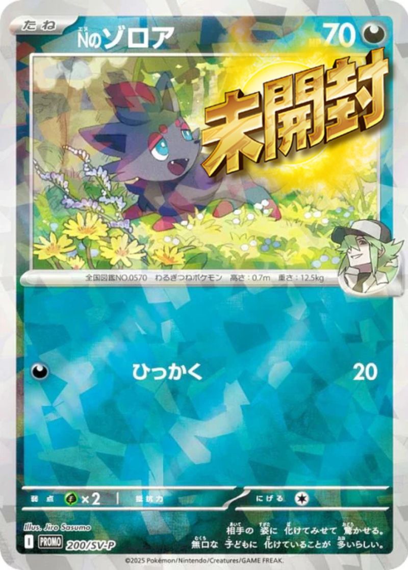 200/SV/P Nのゾロア 未開封