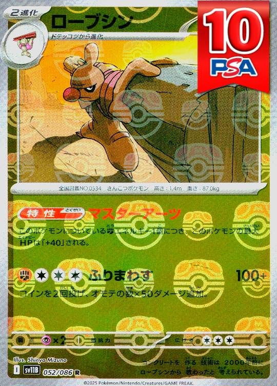 052/086/SV11B ローブシン マスターボールミラー PSA10